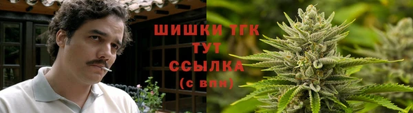 тгк Белокуриха
