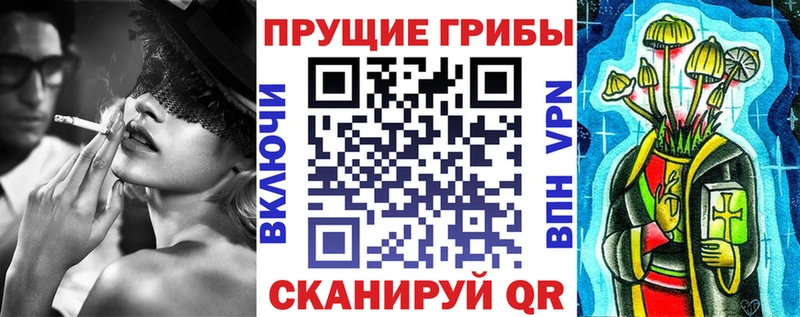 гидра tor  Углегорск  Галлюциногенные грибы Psilocybine cubensis 